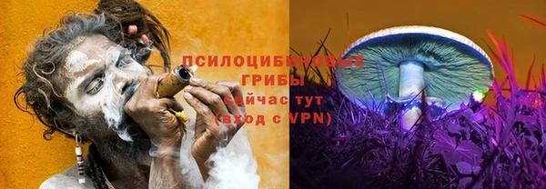 2c-b Алексин