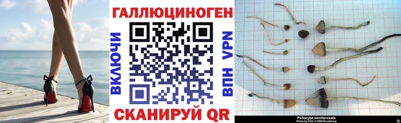 OMG рабочий сайт  Билибино  Псилоцибиновые грибы Magic Shrooms  наркота 