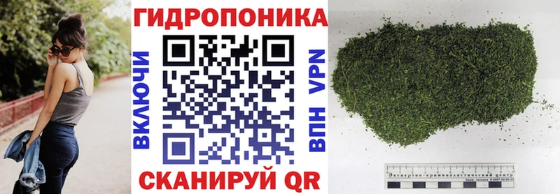 сколько стоит  Билибино  Бошки Шишки семена 